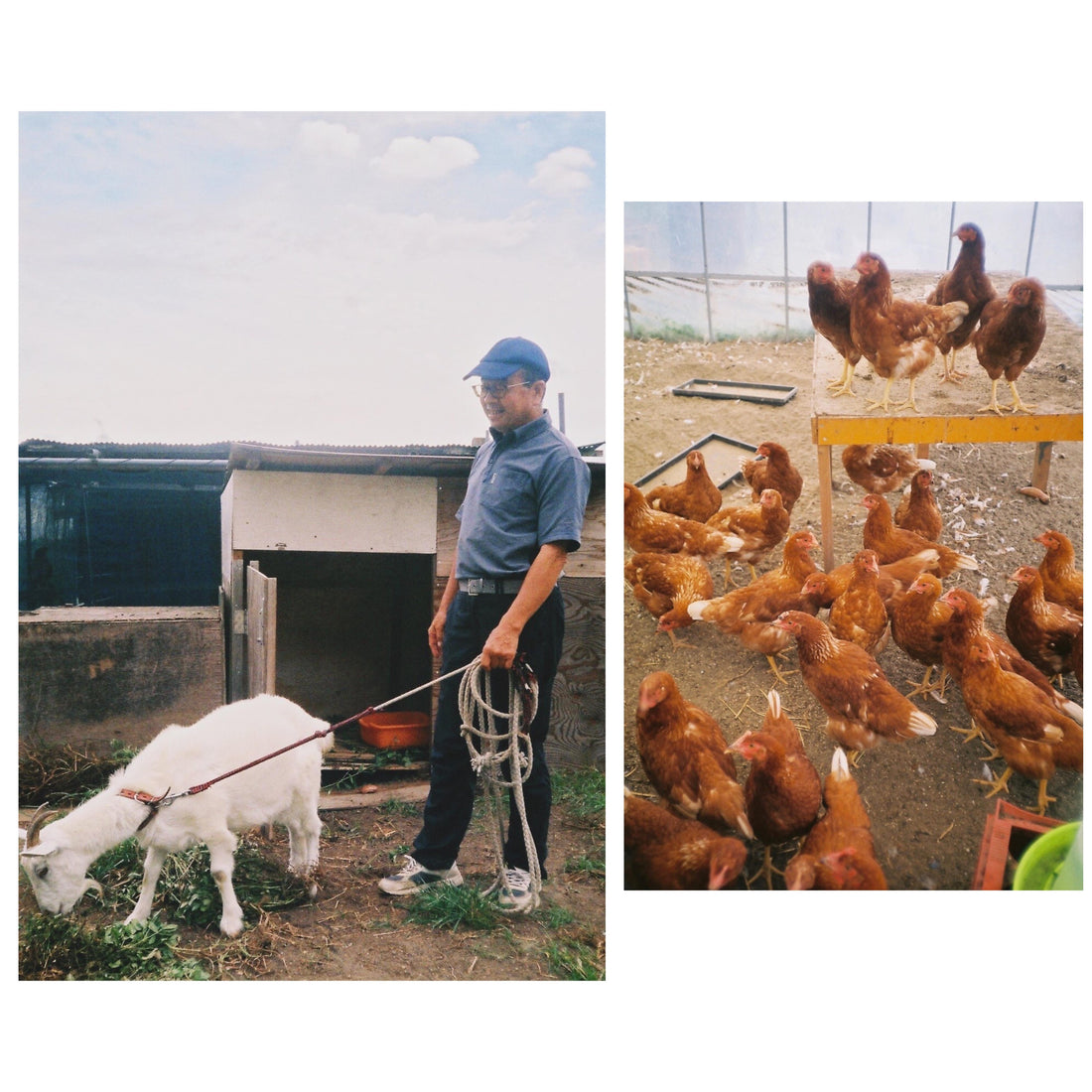 Think Earth Interview：無農薬農家 大澤進