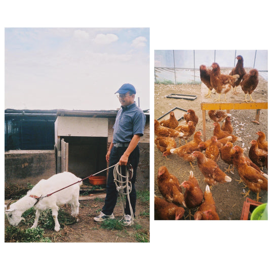 Think Earth Interview：無農薬農家 大澤進