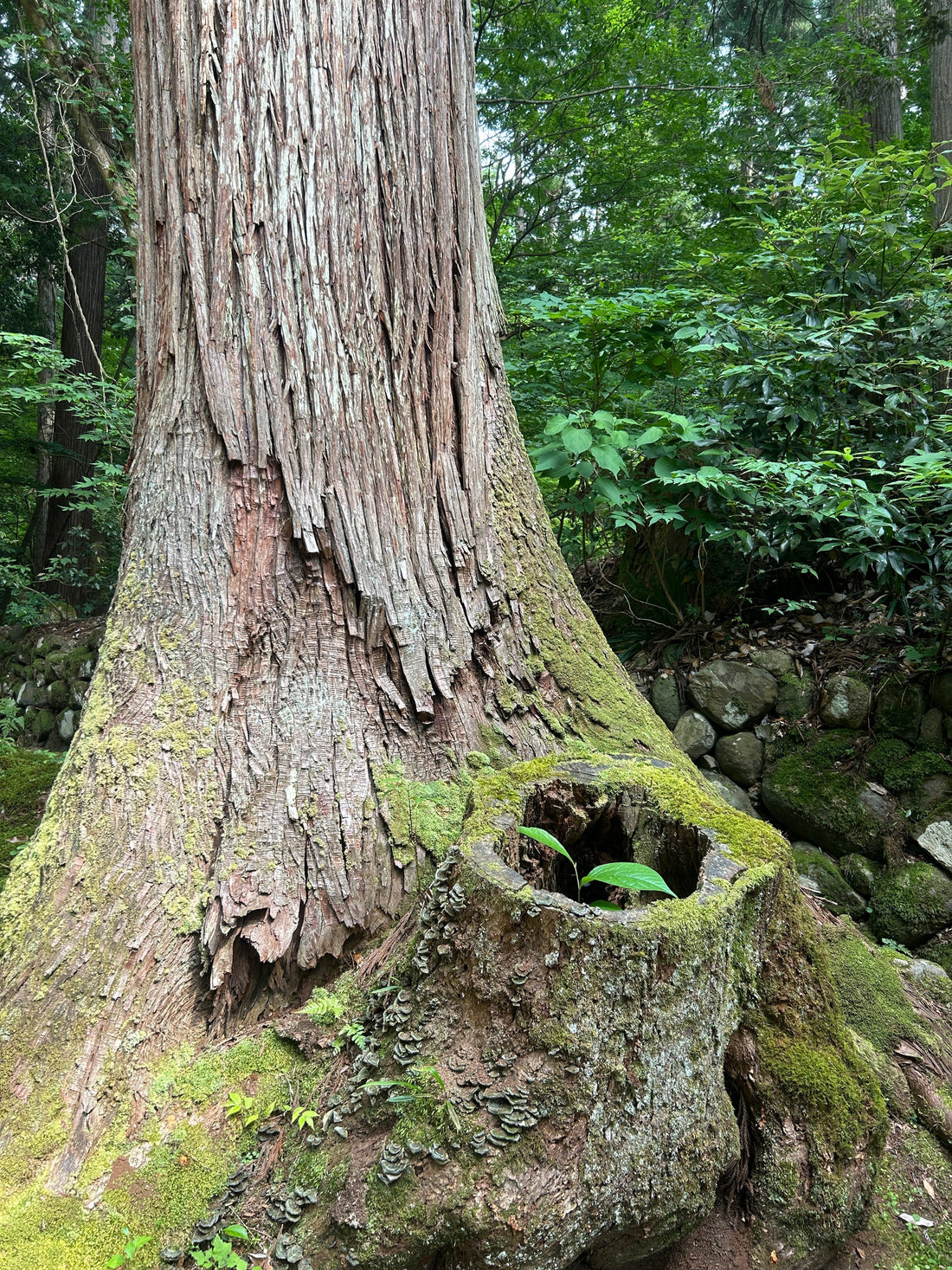 JOURNAL>> eit swimは本当にサステイナブル？